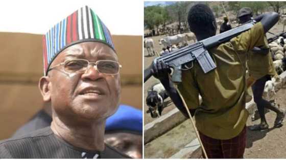 Benue lawmakers alarmed over killings, summon governor to explain steps taken to halt crisis