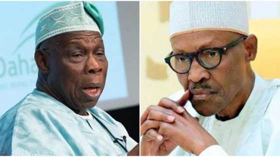 Obasanjo ga Buhari: Ta'addanci ne a yi ta karbo bashi ana barin na baya da biya