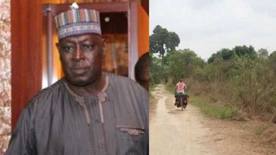 See list of 5 companies Babachir Lawal used in grass-cutting scandal