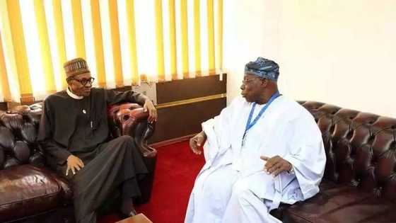 Hadakar fatattakar Buhari ta Obasanjo ta yi wa Buhari wankin babban bargo