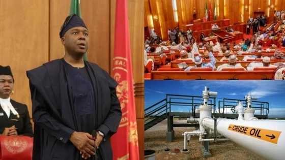 Senate refute reports of plans to increase fuel price by 5 naira