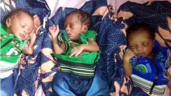 Hotunan Jarirai 'Yan 3 Maza da wata Mata ta haifa a jihar Kano