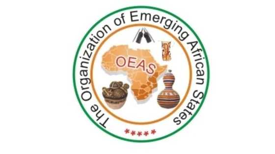 International Organisation Supports Biafra's Secession, Threatens Nigerian Government