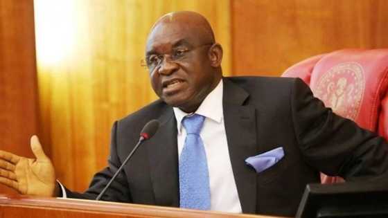 How David Mark illegally acquired Senate president’s official residence - FG