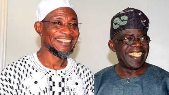 Aregbesola biting the hand that fed him? Fears, predictions for Buhari's minister