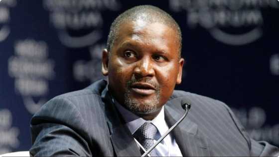 Dangote sugar share price slides by over N11 billion in market value