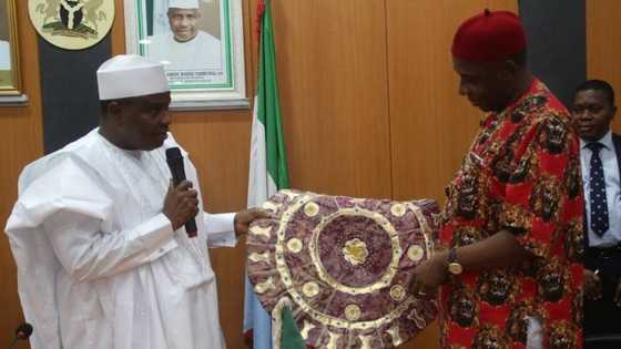 We plotted Goodluck Jonathan's fall from power in Sokoto - Amaechi