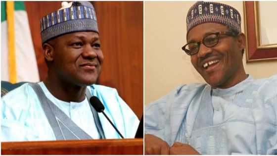 2019: Major boost for Buhari, Dogara as Bauchi coalition endorses president for second term, passes vote of confidence on speaker