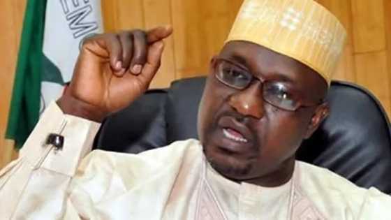 Deputy Senate president reveals Ahmed Gulak's last assignment before he was assassinated