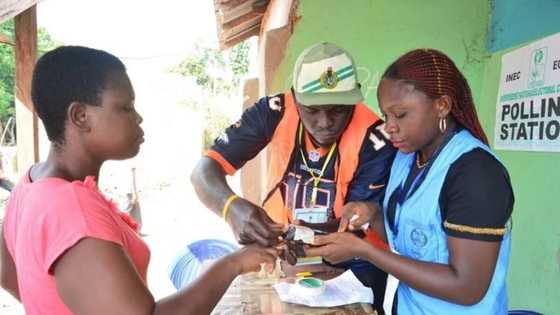 INEC spent N3,000 on each Nigerian voter in the 2015 elections - Expert