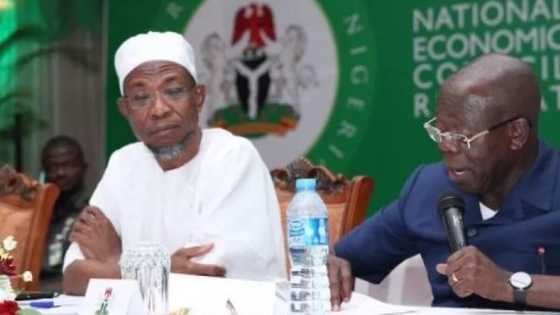 Osun APC, the west agenda and the dilemma of direct primaries by Mutiu Iyanda