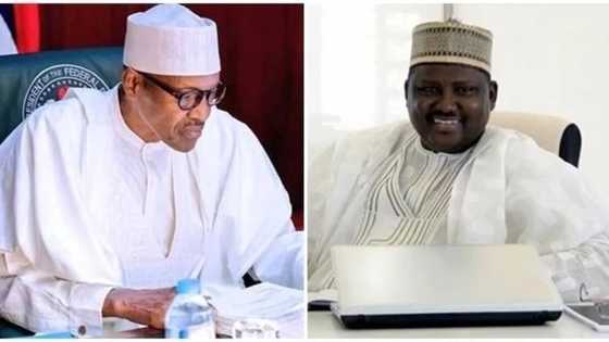 I warned President Buhari against reinstating Maina - Head of Service Oyo-Ita alleges in leaked memo