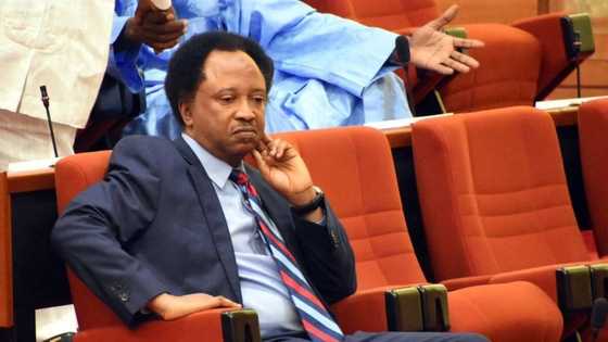 Shehu Sani tackles Bola Tinubu on recruitment of 50 million soldiers