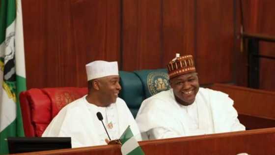 Why Bukola Saraki, Dogara opted to remain in APC