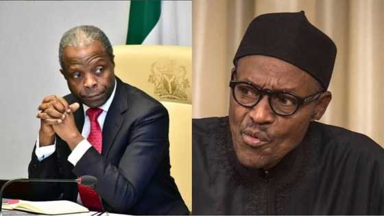 Your plan to make Osinbajo president will fail - Arewa youths tell Yoruba leaders
