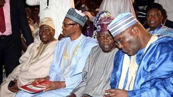 2023 presidency: Big trouble as Buhari's ex-minister presents evidence, files suit to disqualify Tinubu, Atiku