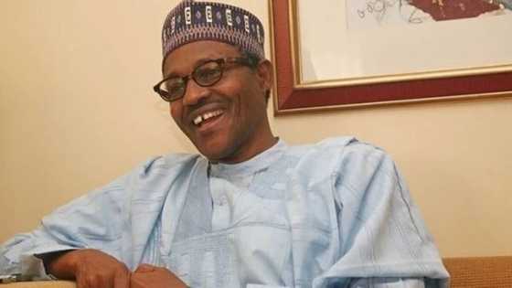 Buhari is the best person to lead Nigeria beyond 2019 - N-Power beneficiaries assure president of 11,000 votes