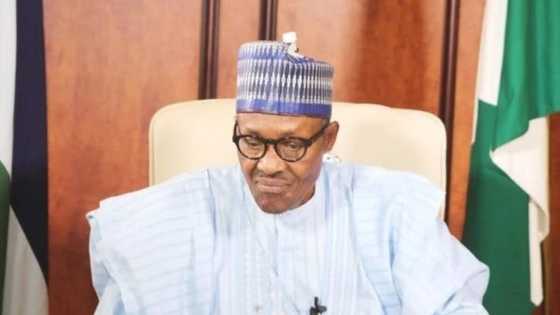 Lawyers drag Buhari, Malami to court over Executive Order 6