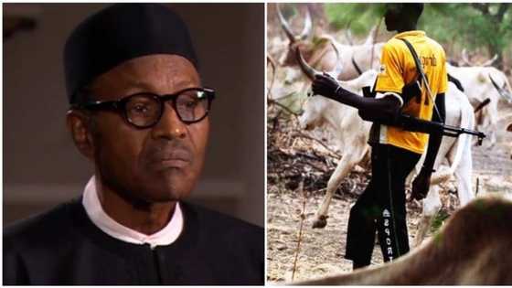 'Yan arewa sun cika da murna da farinciki bayan Buhari ya yi wa Fulani makiyaya albishir mai dadi