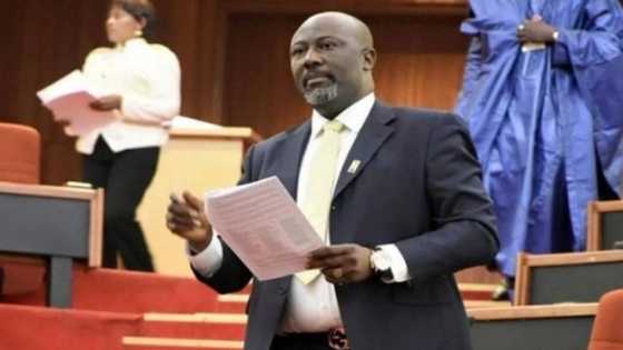Breaking: Senate in rowdy session as Dino Melaye hints on leaving APC for PDP