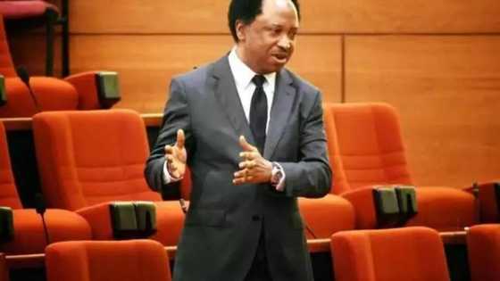 Just in: I remain an APC member, won't leave ruling party - Shehu Sani