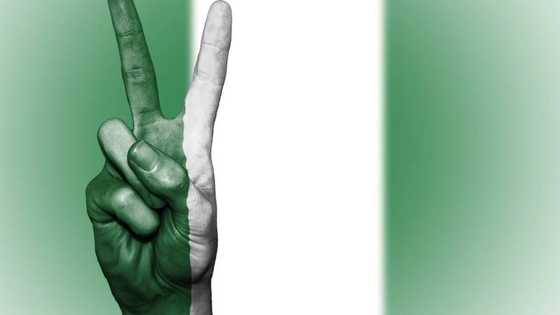 Top 6 reasons why Nigeria adopted federalism