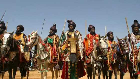 Kano state cancels Sallah Durbar, other festivities, gives reason