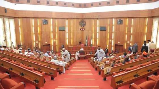 Drama in Senate as 82-year-old ambassadorial nominee refuses to recite national anthem during screening