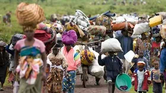 Boko Haram: Mazauna Madagali, Michika sun fara koma muhallansu bayan harin jiya