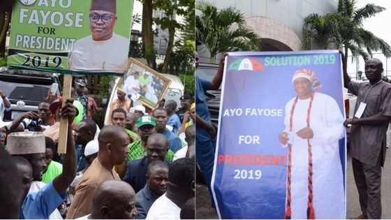 Why I want to become Nigeria's next president - Governor Fayose opens up as he officially declares for 2019 in Abuja (photos, video)