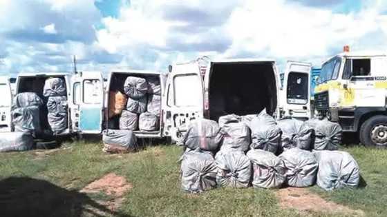 Hukumar kwastam sun kwace haramtattun kayayyaki na kimanin N50m