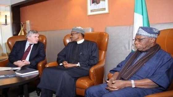 Wasika ga Buhari: Wani Dattijon Arewa ya yi kaca-kaca da Obasanjo