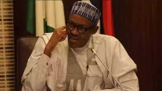 Panic as President Buhari goes after the 36 state governors to rescue local govts