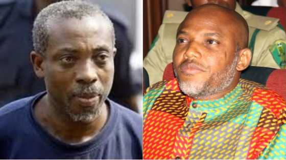 Nnamdi Kanu has betrayed the struggle - MASSOB