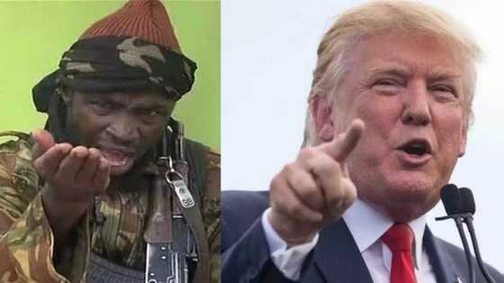 Donald Trump asks why US is bothering to fight Boko Haram in Nigeria