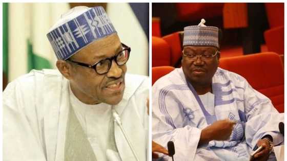 Buhari is a phenomenon, he's not a man - Senate leader