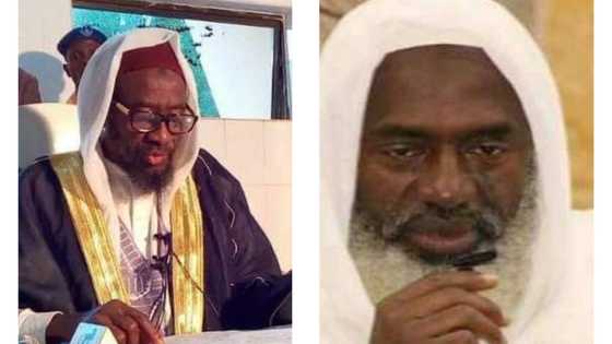 Dakta Gumi jahili ne, yana bukatar ya koma makaranta - Sheikh Baban Tune