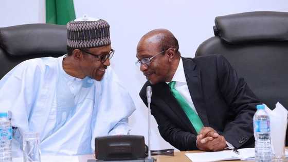 Shirin 2023: Gwamnan CBN ya tafi kotu neman a bashi damar tsayawa takarar gaje Buhari