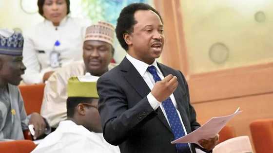 Senator Shehu Sani blames cabal for Maina’s recall