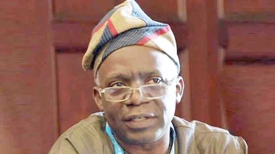 APC primary: Senior lawyer Femi Falana drops bombshell on consensus candidate, legalities