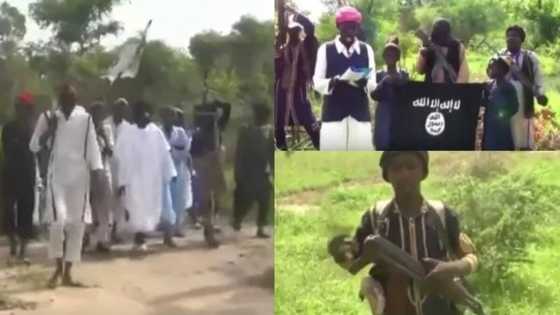 See how Boko Haram terrorists celebrate Sallah in Sambisa forest (Video)