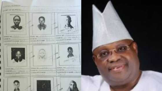 Bamu aike ka yin satar jarabawar WAEC ba, ka je ka kare kanka - APC ta caccaki Adeleke