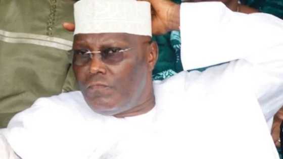 Atiku's comment on alleged missing 23 soldiers unpatriotic - Middle Belt group