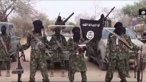 Just In: Boko Haram kills four people as Buhari marks one year in office