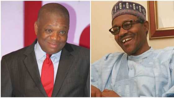 In 2019, Buhari has our votes in the south-east - Kalu says gives president 73% victory in the region