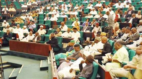 Majalisar Tarayya da Shugaba Buhari 'yan Fashi ne Inji wani Tsohon Sanata