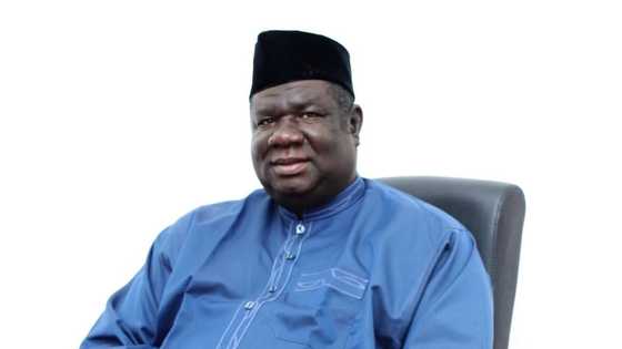 Zaben 2019: Dan Sarki zai fafata da gwamna mai a wata jiha a Arewa