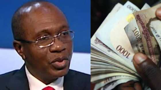 Naira crashes to N484 against dollar as more BDCs go underground