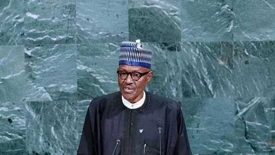 UN to raise 200 million dollars to help Rohingya Muslims refugees after Buhari's speech