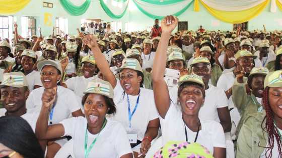 Trust Fund: Unemployed graduates back bill, commend NASS, NYSC, give reasons